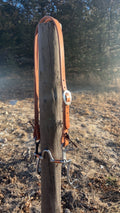 Simple Buckle Split Ear Headstall